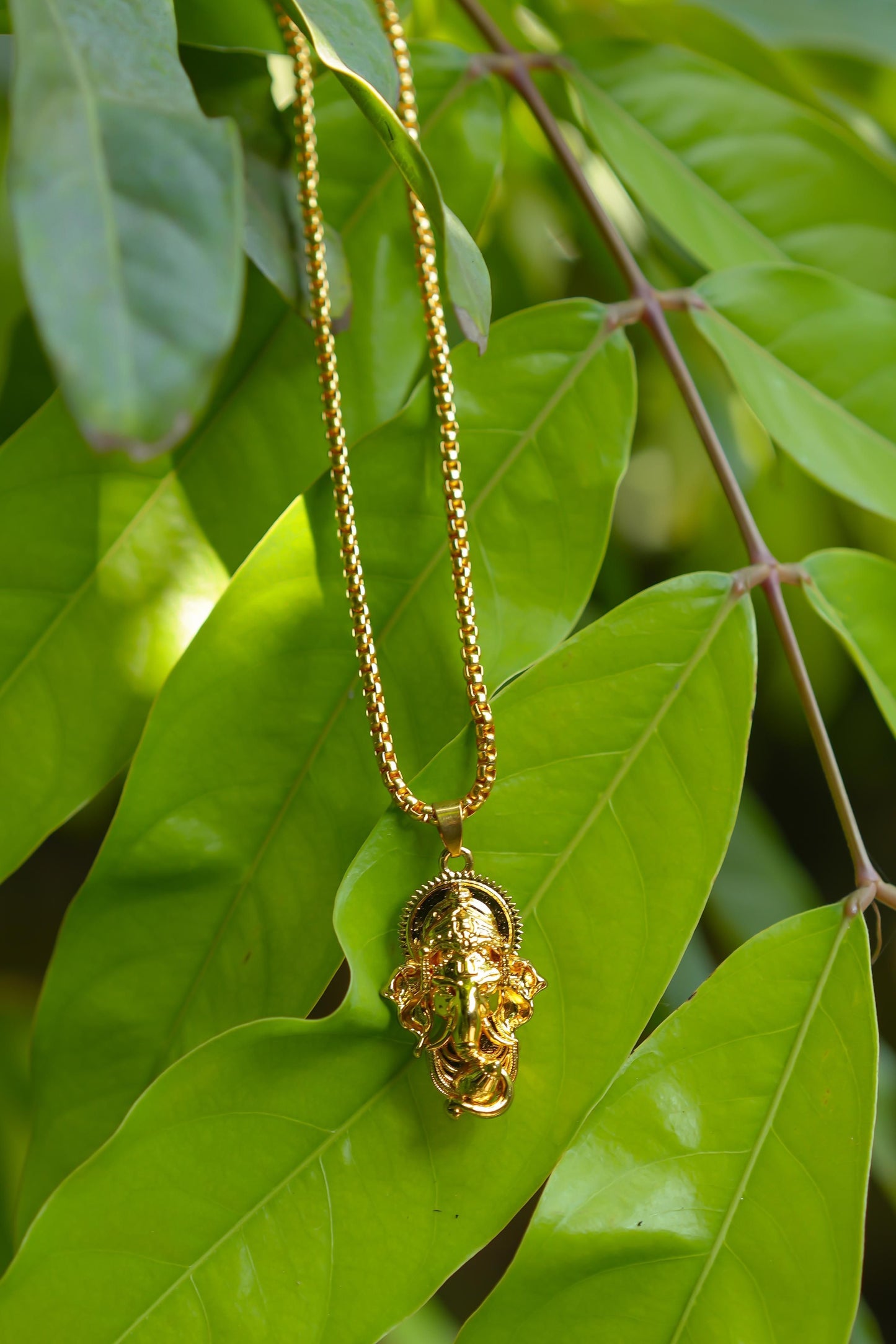 Ganesha Pendant With Snake Chain