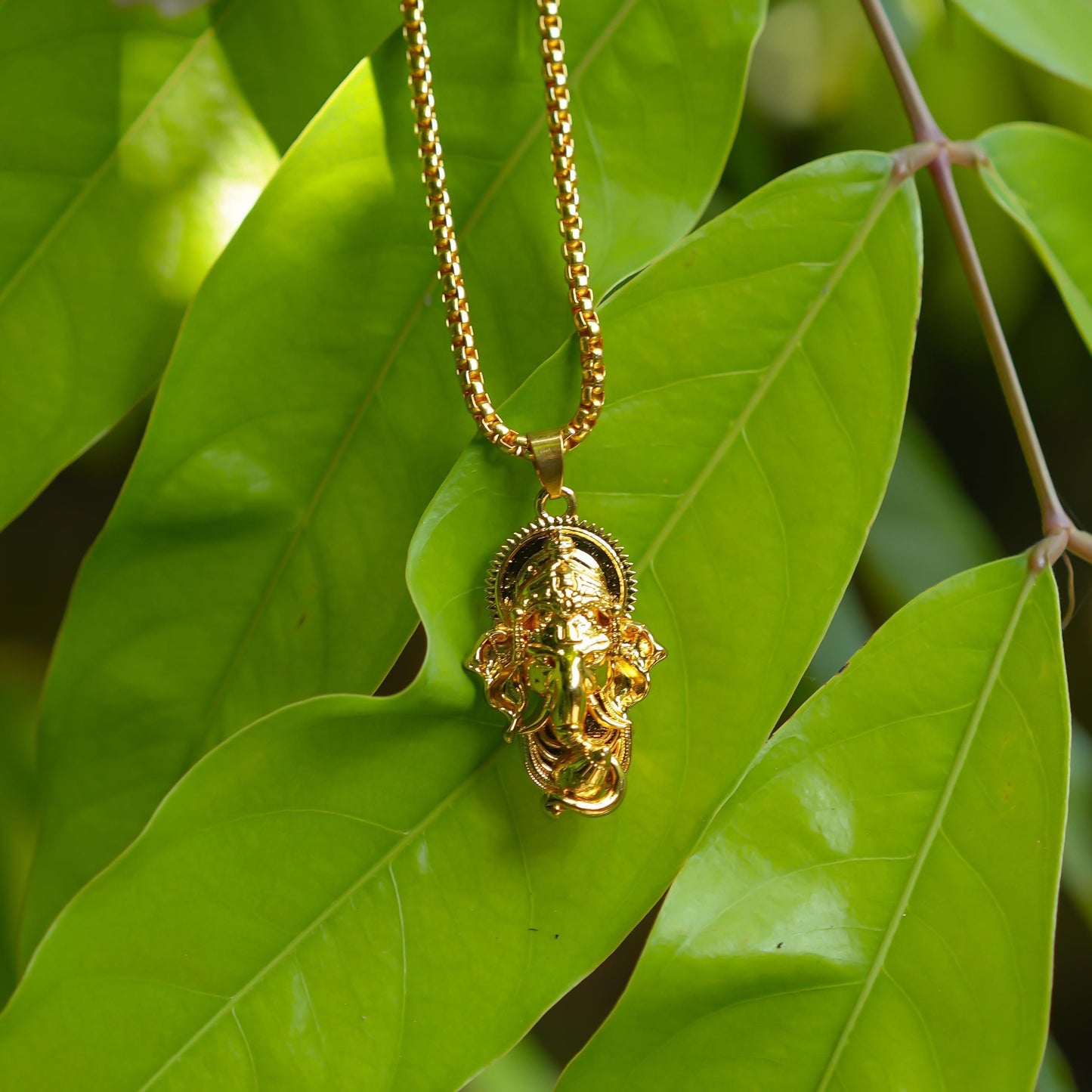 Ganesha Pendant With Snake Chain